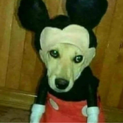 everysinglepersonaroundmeisscatteringlikedeadfuckingleaves