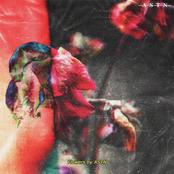 ASTN: Flowers
