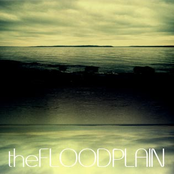 The Flood Plain