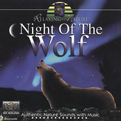 night of the wolf