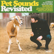 Pet Sounds Revisited