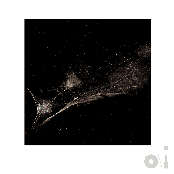 Put the Bucket Down (Dark-Side Mix)