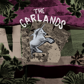 Why Did I Trust You by The Garlands