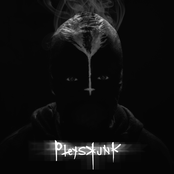 Pleyskunk