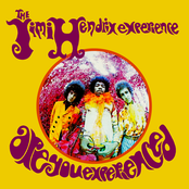 Are You Experienced Album Picture