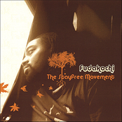 The StayFree Movement