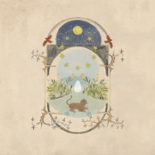 Meghan Dowlen: Wild Abandon
