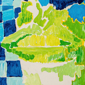 Não Se Apegue Às Suas Verdades