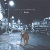Everytime by Cactus World News