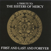 Sisters of Mercy Tribute
