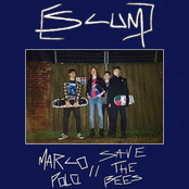 Marco Polo // Save the Bees