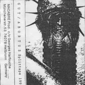 Gut/Abortus split demo