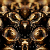 Timeless - Single