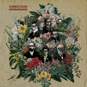 Connections 6way split pt.I