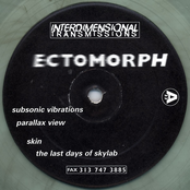 The Last Days Of Skylab by Ectomorph