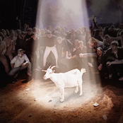 Bidden In De Moshpit