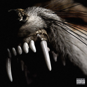 FANGS