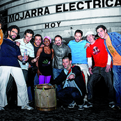 Mojarra Electrica