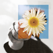 Little Miss Sunshine