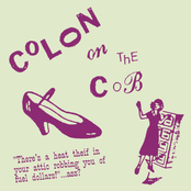 "There's A Heat Theif In Your Attic Robbing You Of Fuel Dollars!" ...Ass?