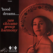 Hood dreams vol 0 (rare chicano group harmony)