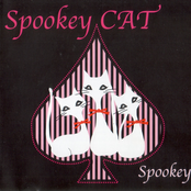Spookey Cat