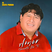 Amor Necesito De Ti