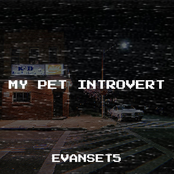 My Pet Introvert