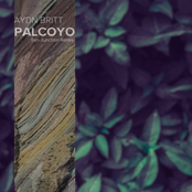 Palcoyo (Ben Junction Remix)