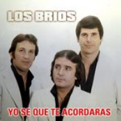 los brios