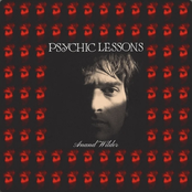 Anand Wilder: Psychic Lessons