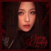 Spicy Honey