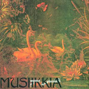 Musiikkia