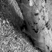 7 Minutes Of Nausea / Sist En 343 / TN666