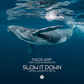 Slow It Down (Daniel Wanrooy Remix)