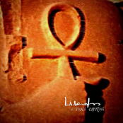 A Busca Espiritual - Spiritual Quest