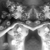 Ouarda (The Subtle Art of Phyllorhodomancy)