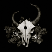 Not Ready To Die by Demon Hunter