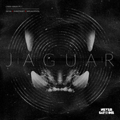 Jaguar - Single