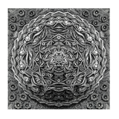 String Theory
