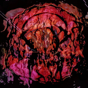 Amalgamation of Autopsy Photos, Fecal Excretions and Inhuman Disease
