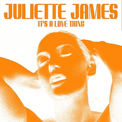 It's a Love Thing - Single