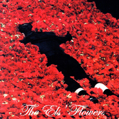 The Els' Flowers