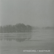 A Tortured Shallow Grave by Xasthur