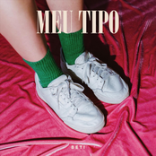 Meu Tipo