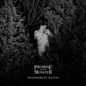 A Room With No View by Promise And The Monster