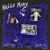 Hello Mary: Stinge / Sink In