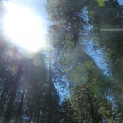 Wake Up 2 Sleep Again