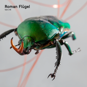 Fabric 95: Roman Flügel