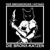 Die Bronx-Katzen